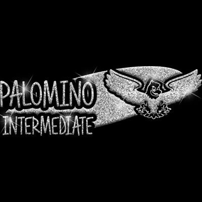 GLT100 SILVER GLITTER Thumbnail